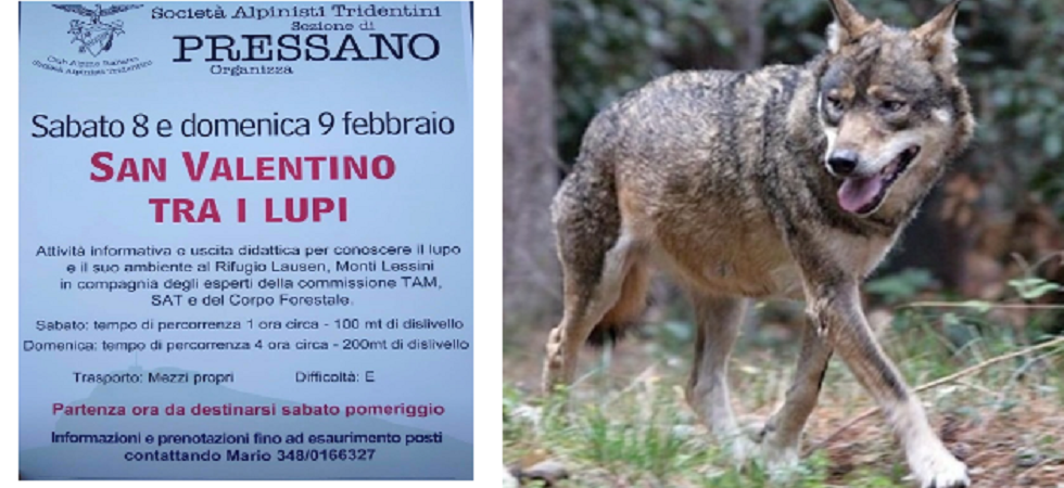 San Valentino (alternativo) tra i lupi